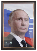 Портрет Путина В. В. 35х50 см, рама под орех