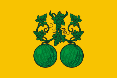 Флаг Балашова 90х135 см Флаг Балашова 90х135 см